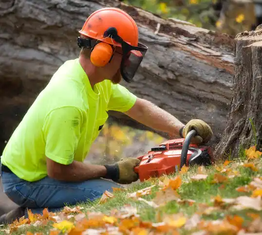 tree services Lawrenceville